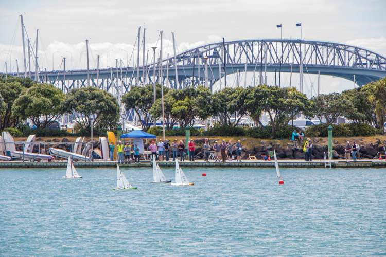 9/117 Shelly Beach Road Saint Marys Bay_16