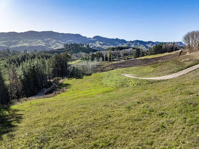 1000 Kahuranaki Road Kahuranaki_1