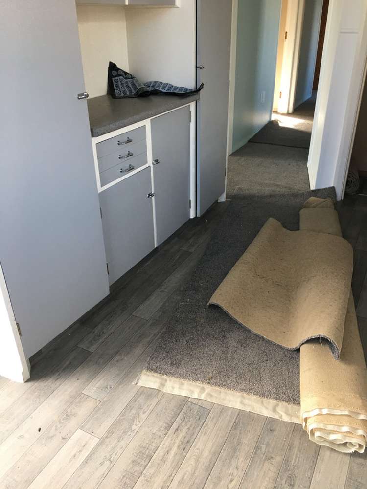 19 Simmonds Street Alexandra_13