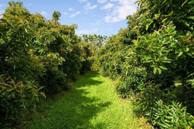 169 Tuapiro Road Katikati_18