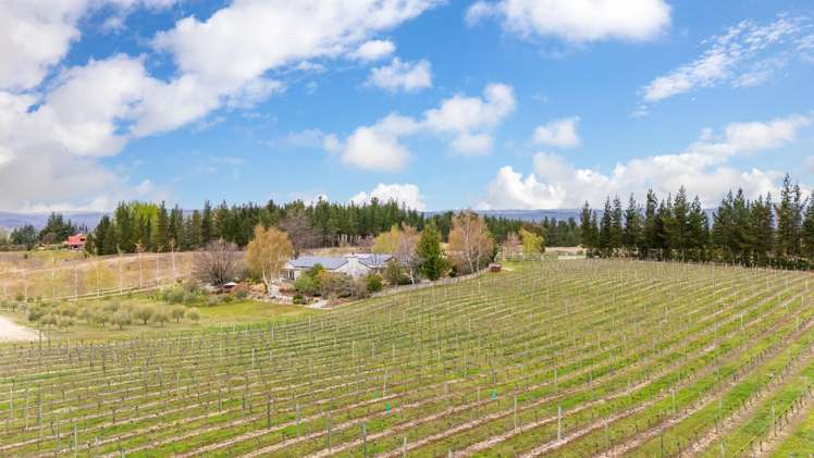 236 Letts Gully Road Alexandra_23