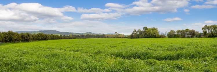 9850b State Highway 2 Waihi_5