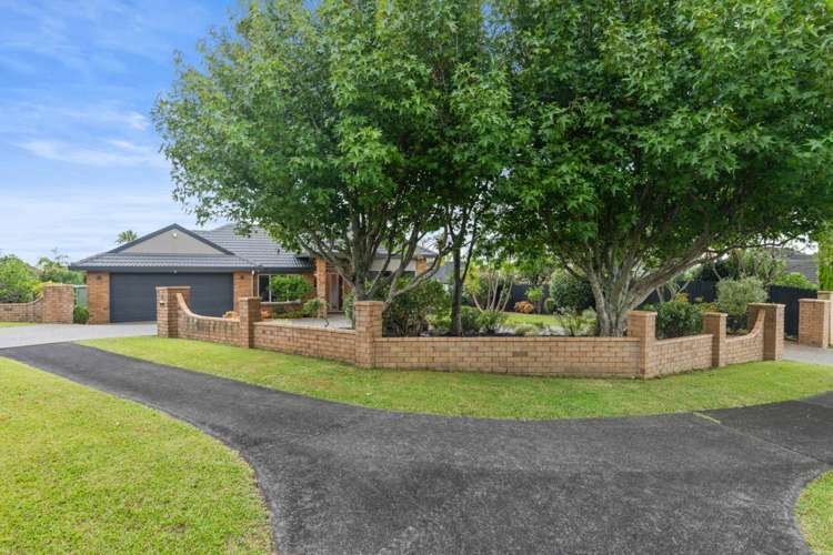 35 Anaheim Boulevard Shamrock Park_12