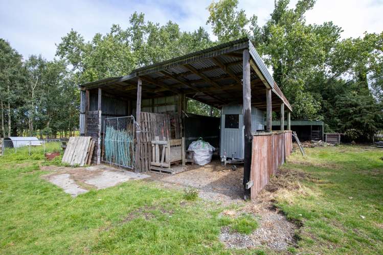 657 Domett Road Domett_33