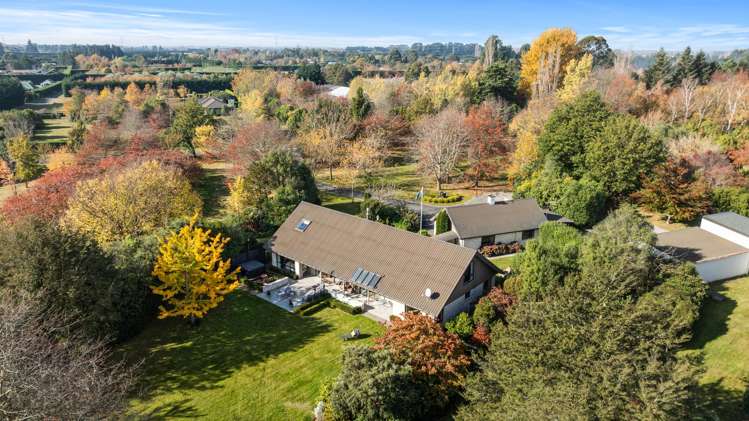 259 O'Roarkes Road Fernside_37