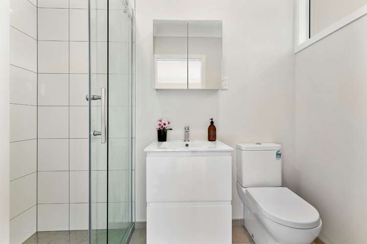 78 Rotherham Terrace Miramar_11