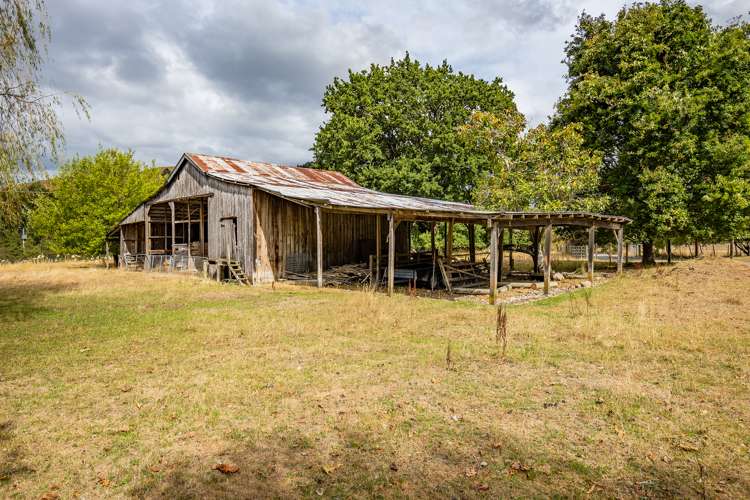 254 Kohatu-Kawatiri Highway Kahurangi National Park_22