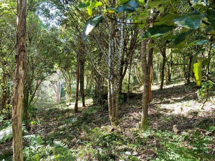 268b Stratton Street Normandale_6