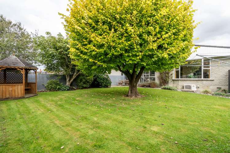 314 Chelmsford Street Waverley_18