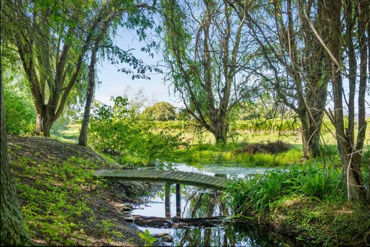 838 Rapaura Road Rapaura_25