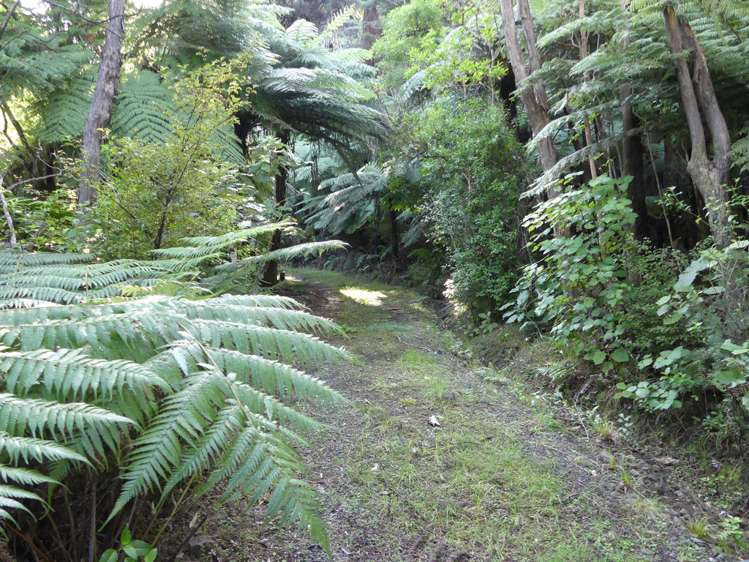 230 Schooner Bay Road Great Barrier Island (Aotea Island)_7