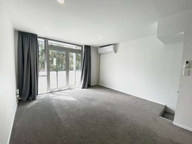 52m Ronayne Street Parnell_1