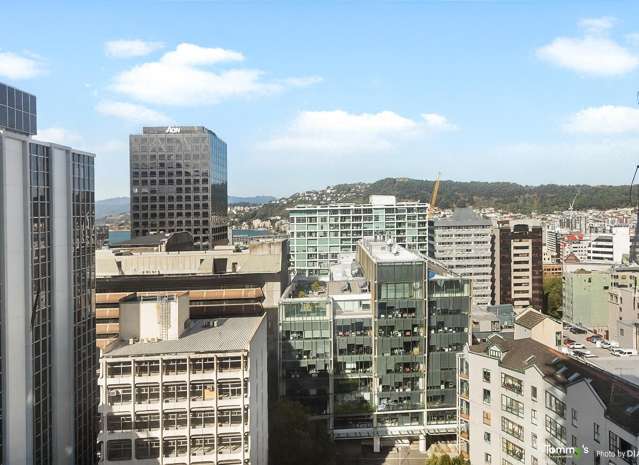 10/189 The Terrace Te Aro_3