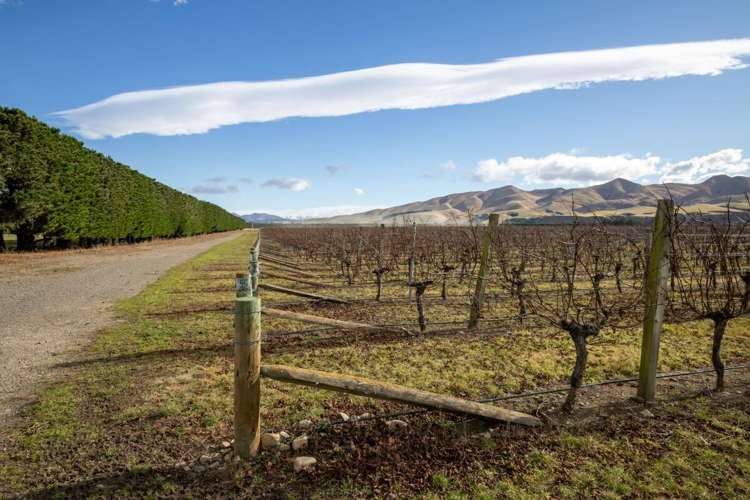 590 Georges Road Waipara_5