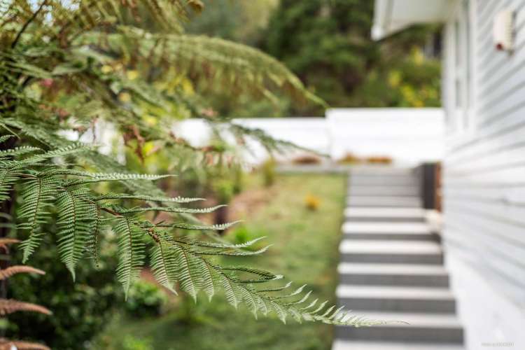 53 Daffodil Street Titirangi_11