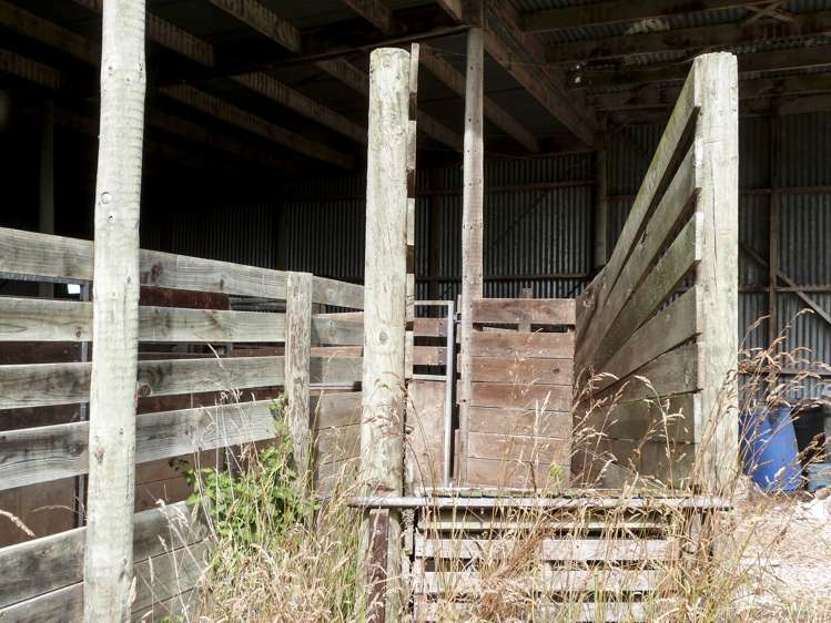 2 Wilson Road South Motu Rimu_5