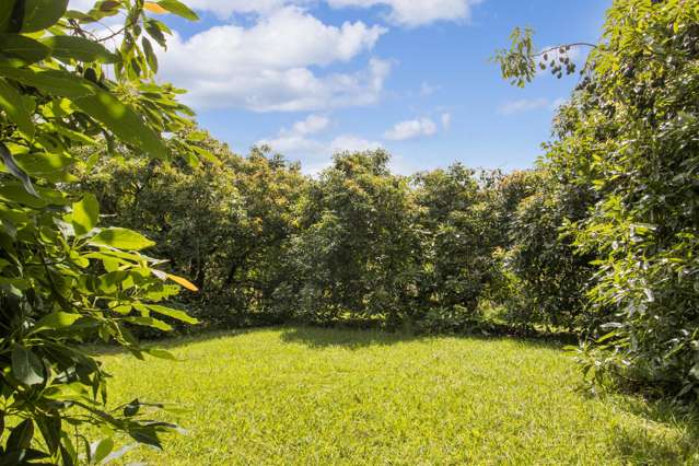 243A Wright Road Katikati_3