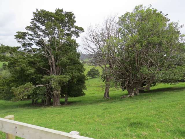 Lot 4 Taylor Road Taipa_1