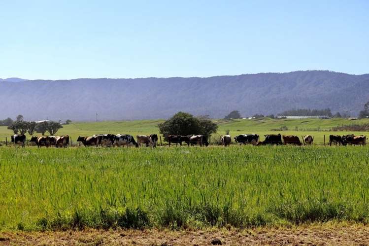 North Karamea Road Karamea_3