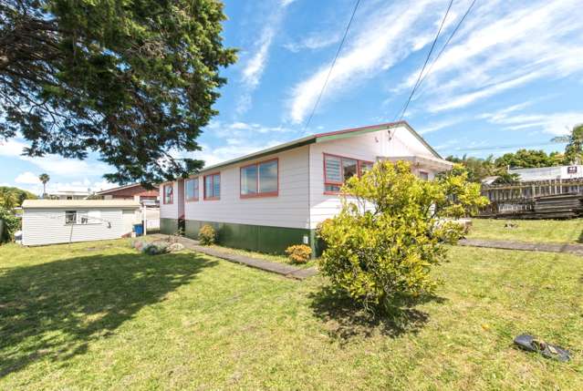 46 Rimu Street New Lynn_1