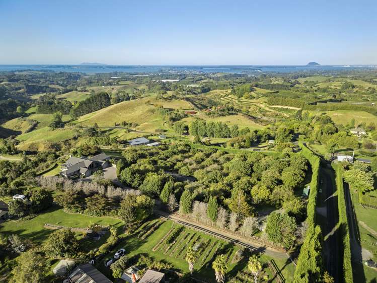 230A Waipapa Block Road Whakamarama_30