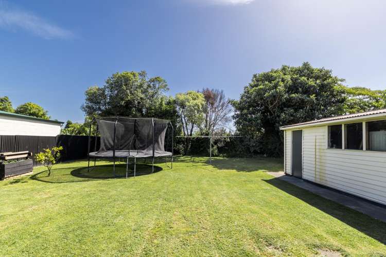 38 Downing Avenue Pirimai_14