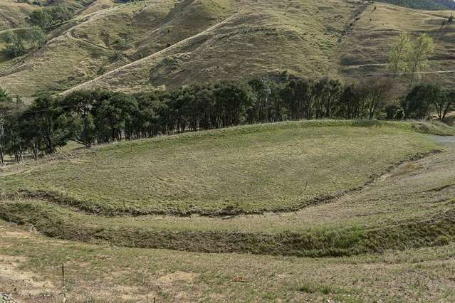 584 Wakapuaka Road Wakapuaka_4