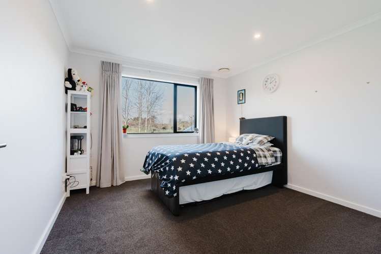 86 Taplin Road Matangi_15