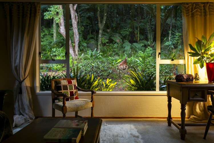 13 Bush Road Waiatarua_5