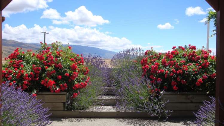 51 Hall Road Bannockburn_17