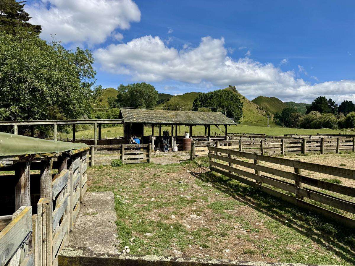 213 Parihauhau Road_2