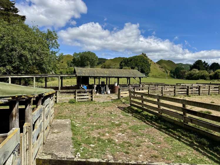 213 Parihauhau Road Parikino_6