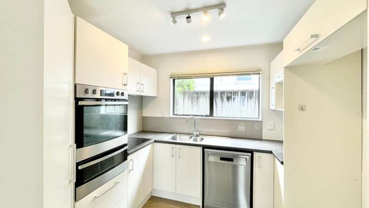 33B Nile Road Milford_5