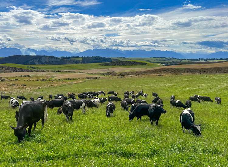 1338 Kakapo Road Te Anau Surrounds_18