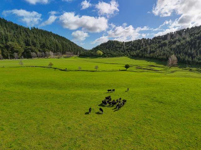 Small farm with big possibilities