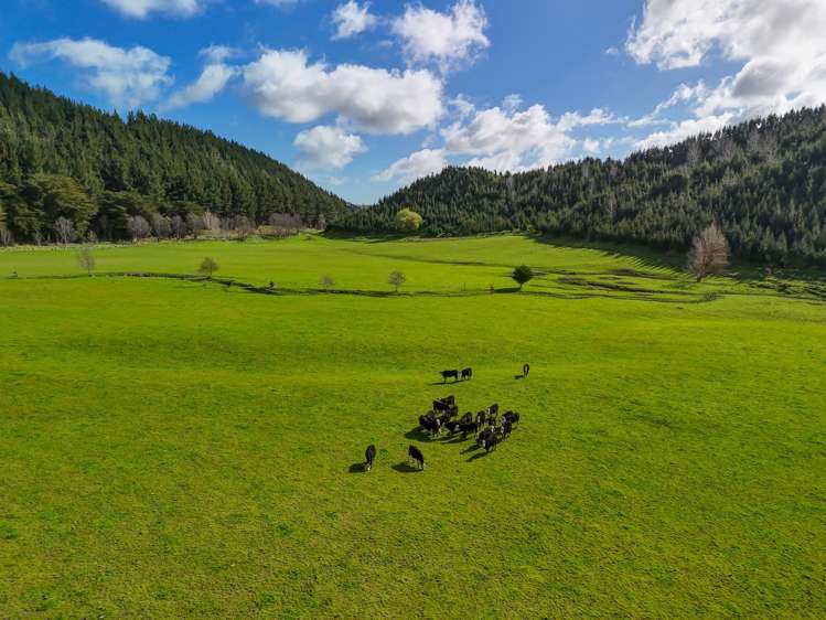 1584 Brunswick Road Kai Iwi_0