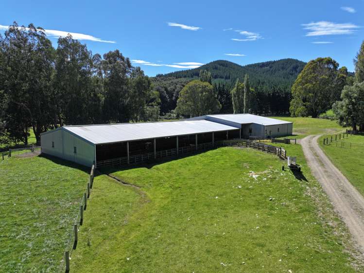 3730 Blackmount Redcliff Road Blackmount_6