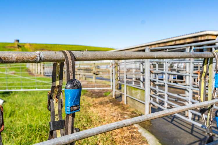 454 West Coast Road Te Kopuru_12