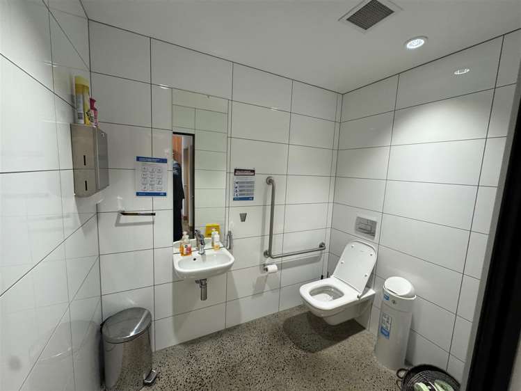 9 Francis Place Te Aro_12