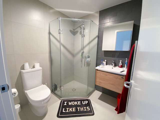 309b/428 Dominion Rd 1728_3