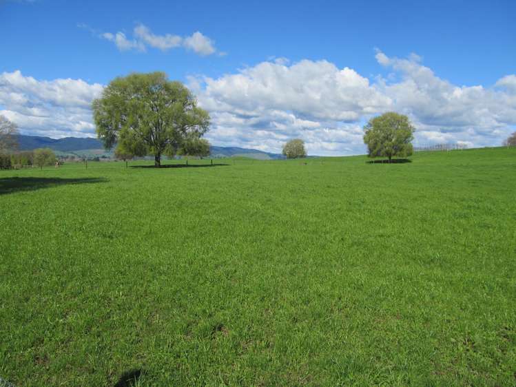 253 Rangitanuku Road Te Poi_8