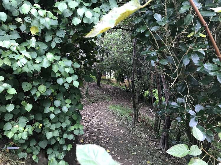 28 Paremata Street Atawhai_12