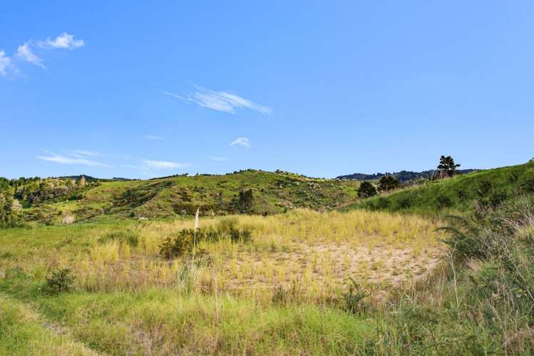 600C Bickerstaffe Road Maungaturoto_6