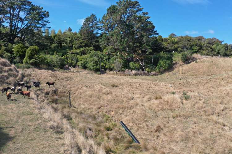 1017 Waingaro Road Glen Massey_8