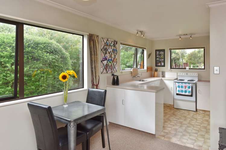 16 Smarts Drive Leithfield_12