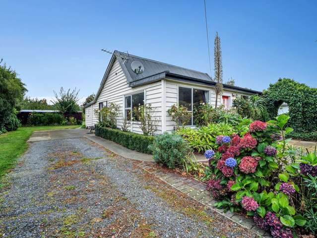 Renovators Dream Come True!