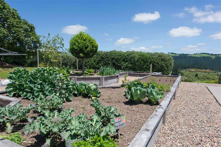 157b Kaiate Falls Road Kaimai_19