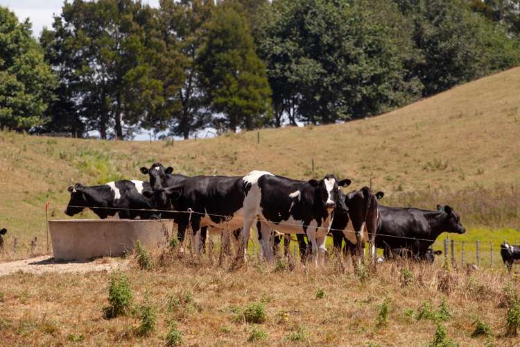 776 Kakahu Road Tapapa_12