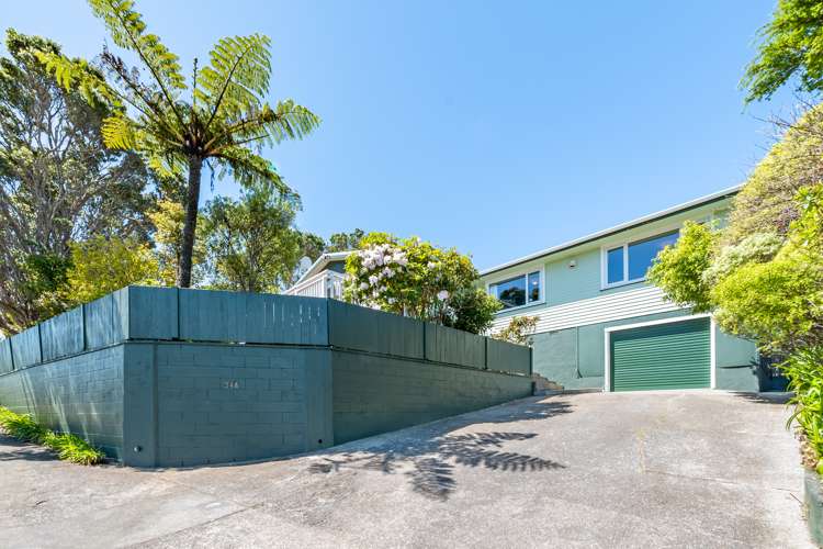 34a Poto Road Normandale_27