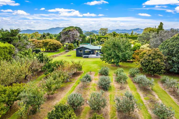 244 Omaha Flats Road Tawharanui Peninsula_18
